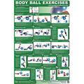 Productive Fitness Products Body Ball Upper- Lower Body - Laminated CBBUL